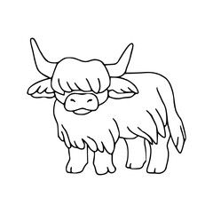 cute highland cow outline drawing