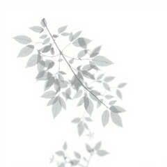 shadow overlay effect. Gray shadow of leaves isolated on white background. Plant foliage leaf shadow light effect. Mockup Blurred tree branch shadow. Ideal for summer spring design elements PNG