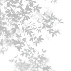 shadow overlay effect. Gray shadow of leaves isolated on white background. Plant foliage leaf shadow light effect. Mockup Blurred tree branch shadow. Ideal for summer spring design elements PNG