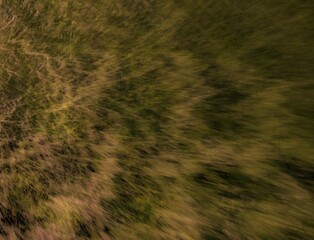 Imaginatory fractal abstract background Image