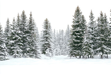 a person on skis in the snow near trees