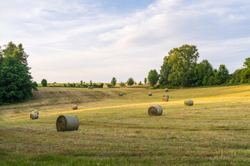 Hay bales lying on freshly mown field under clear daylight. Tranquil rural landscape representing...