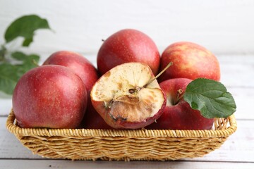 Spoiled apple and good ones in basket on white wooden table, closeup