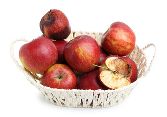 Spoiled apple and good ones in basket isolated on white