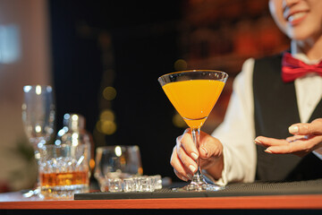 Professional female bartender preparing alcoholic drinks in a bar