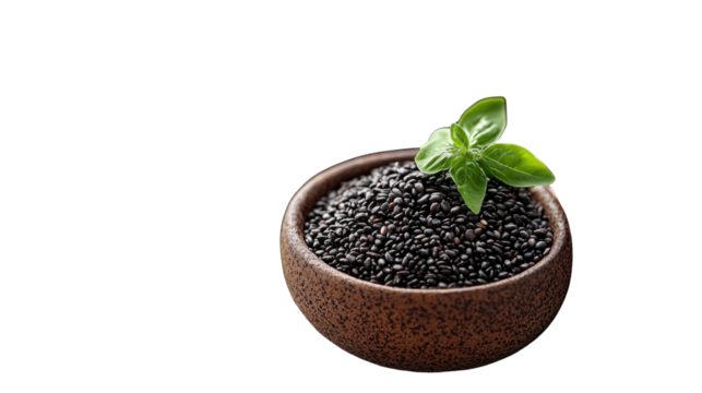 Organic black pepper plant and dried seeds in a bowl with black olives in a pot.