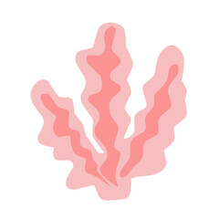  marine plant illustration