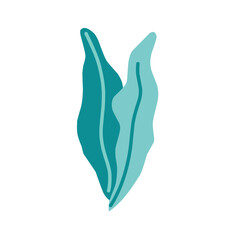  marine plant illustration