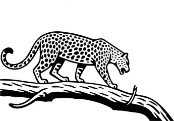 Vector illustration of a leopard walking on a fallen tree, isolated on white