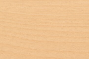 Beech Wood Texture Wooden