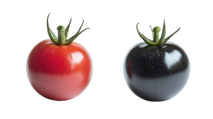 Fresh, ripe red and  black tomato , isolated on white, with healthy green leaf is a sweet organic fruit.