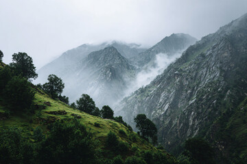 a mountain with a few trees on the side of it