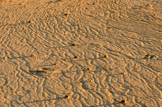 Detail shot of patterns and ripples in desert claypans
