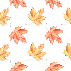 Fototapeta premium Seamless patern with watercolor colorful maple leaves 