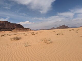 Orange color sand texture pattern background. Wadi Rum desert, Jordan,Arabia scenic beautiful panorama,Close-up of redorange sand on desert