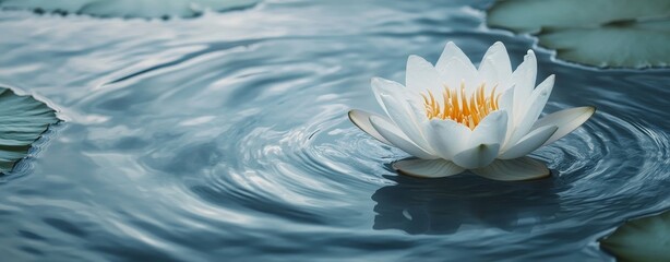 In a lotus floral abstract background, a serene water lily is shown floating gracefully on calm waters, exemplifying nature's beauty