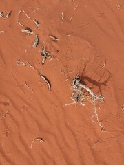 Orange color sand texture pattern background. Wadi Rum desert, Jordan,Arabia scenic beautiful panorama,Close-up of redorange sand on desert
