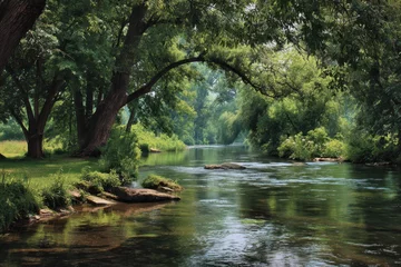 Printed roller blinds Experiencing nature s calmness with the soothing sound of water whispering leaves and refreshing breeze promoting tranquility