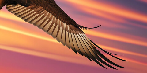 Silhouette of an eagle flying at sunset with vibrant colorful horizon

