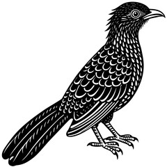 Black and White Bird Illustration