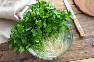 Fresh parsley with roots in water glass bowl on wooden table, natural organic herb for healthy cooking