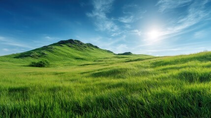Fototapeta premium Lush green meadow stretches to a sunlit hill