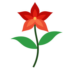 madder flower on-white-background