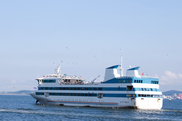 Naklejka premium Majestic Passenger Ferry Navigating the Clear Blue Waters Under a Bright Sky Surrounded by Flying Birds and Scenic Landscape