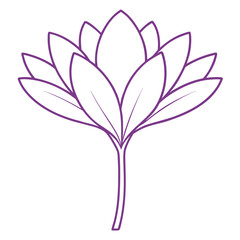 meadow-saffron-flower- line art isolated on-white