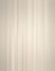 Fototapeta premium Subtle Vertical Lines Beige Texture Background