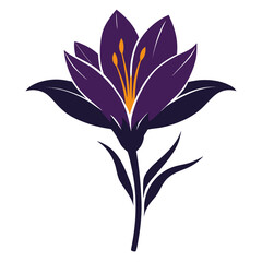 mezereon saffron flower-silhouette-on-white