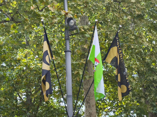 Ljubljana, Slovenia - July 06, 2025: Flags waving on a street pole surrounded by lush green trees,...