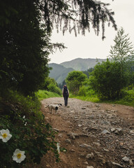 A woman walks along a summer mountain trail with her dog against a backdrop of flowers and mountain peaks. Kok-Zhailau plateau in Almaty in Yele Alatau National Park, Kazakhstan