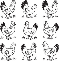 Hand Drawn Chicken Doodle Vector Set with Fun Poses and Feather Styles on White Background