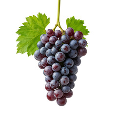 Fresh Bunch of Red Grapes with Green Leaf on Isolated transparent background