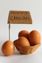 Group of eggs with a 
