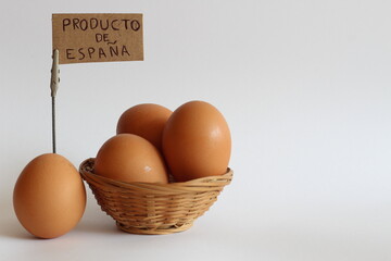 Group of eggs with a 