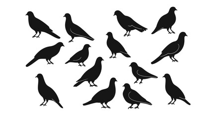Obraz premium Pigeons vector graphic design featuring a group of stylized pigeons in various poses, including flying and perching, created in a clean modern vector style—ideal for urban nature themes