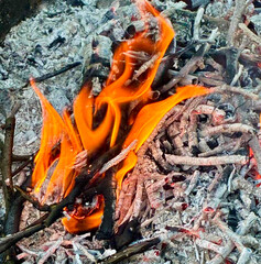 Fire close up, bonfire. Coals of the fire, Firewood burning. Texture of fire.