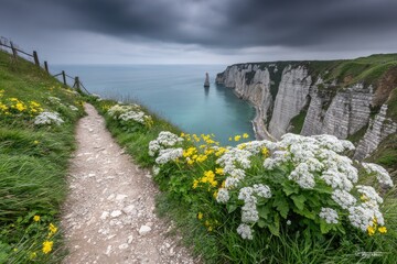 Coastal path winds through wildflowers, dramatic cliffs