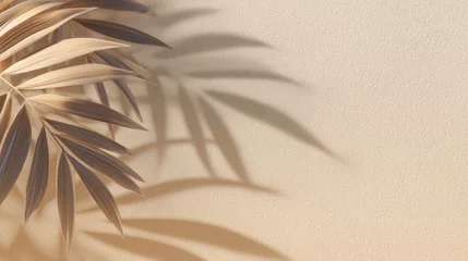 Fototapete Badezimmer Warm, muted palm leaves cast delicate shadows on a textured beige background  © Erisna Yolanda