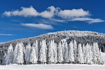 Snowy mountain landscape with frosted trees