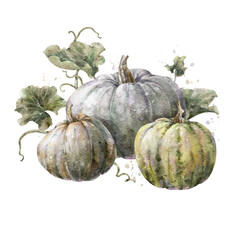 Colorful watercolor pumpkin set with leaves. Helloween element. Pumpkins composition. Digital illustration.	