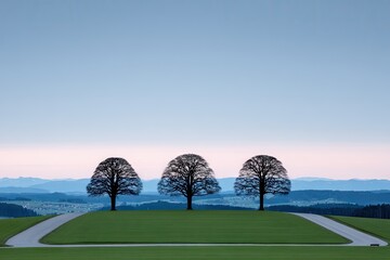 Three bare trees on a grassy hilltop, facing a pale sky and distant mountains