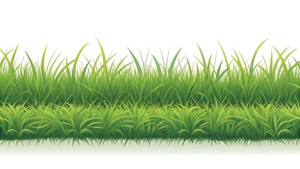 green grass on white background,grass, nature, isolated, field, spring, summer, plant, lawn, meadow, white, growth, fresh, green, garden, 