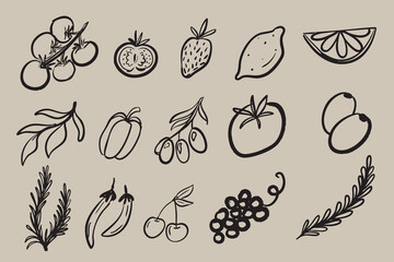 Set of hand drawn food illustrations with different elements, cherry, tomato, grapes, lemon and rosemary. Vector vector illustrations for invitations, cards and posters.