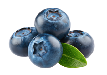 Fresh juicy blueberries with leaf isolated on white background high quality fruit photography shot