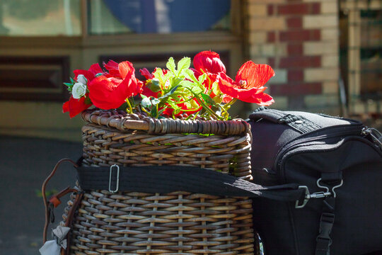 A wicker basket of red poppies