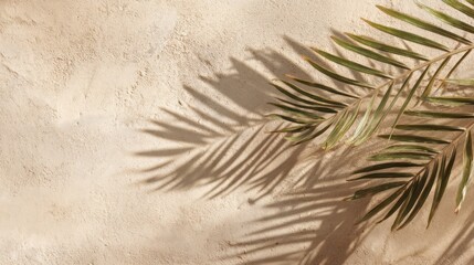 Beige wall with palm leaf shadow
