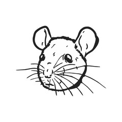 vector illustration of a cartoon mouse head 